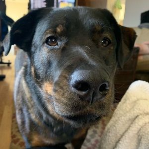 Meet your Posher, Cassandra